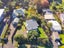 19 Jeep Road, Raumati South, Paraparaumu - Carousel 7