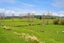251 Ahiaruhe Road, Carterton - Carousel 17