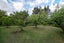 435 Pine Valley Road, Dairy Flat, Silverdale - Carousel 46