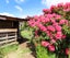 8 Conlon Street, Reefton, Reefton - Carousel 18
