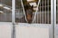 1901 Tutukau Road, Ohakuri, Reporoa - Carousel 17