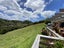 1489 Weranui Road, Silverdale - Carousel 32