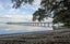 23 Princes Street, Tahawai, Katikati - Carousel 23