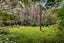 240 Cave Road, Waimatā - Carousel 18