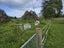 102 Putiki Drive, Putiki, Whanganui - Carousel 16