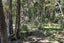 12 Opua Road, Turua, Ngatea - Carousel 24