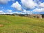 1344 State Highway 12, Oue, Kaikohe - Carousel 21
