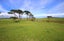 0 Sandhills Road, Ahipara, Kaitaia - Carousel 19