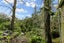 57 Meadowbank Road, Meadowbank, Auckland - Carousel 21