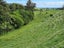 144 Ackworth Road, Lepperton, New Plymouth - Carousel 8