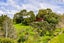 25 Devich Road, Wellsford - Carousel 46