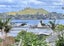 81A Arthur Street, Onehunga, Auckland - Carousel 4