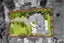 3 Napuka Road, Henderson Valley, Auckland - Carousel 37