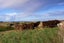 246 Double Hill Road, Herbert, Oamaru - Carousel 19