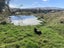 0 Littles Road, Dalefield, Queenstown - Carousel 23