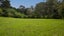 69 Jennings Road, Waipapa, Kerikeri - Carousel 4