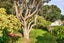 9 Totara Street, Eastbourne, Lower Hutt - Carousel 21