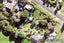 36 Bays Road, Ōrere Point - Carousel 11