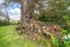 605 Whakapirau Road, Whakapirau, Maungaturoto - Carousel 23