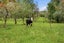 669 Takahue Road, Takahue, Kaitaia - Carousel 33