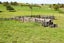 282 Stanley Road, Te Popo, Stratford - Carousel 8