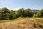 278 Centennial Avenue, Arrowtown, Queenstown - Carousel 13