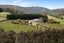 52 Onetangi Road, Onetangi, Waiheke Island - Carousel 4