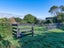205 Peka Peka Road, Peka Peka, Waikanae - Carousel 21