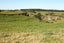 38 Cracroft Drive, Putiki, Whanganui - Carousel 1