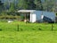 915 State Highway 67, FAIRDOWN, WESTPORT - Carousel 17