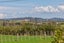 91 Somerville Road, Somerville, Auckland - Carousel 5