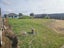 25 Carmichael Road, Bethlehem, Tauranga - Carousel 5