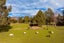 4023 Northbank Road, Blenheim - Carousel 22