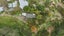 775C Pyes Pa Road, Pyes Pa, Tauranga - Carousel 14