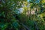 85 Hill Road, Palm Beach, Waiheke Island, Auckland - Carousel 4