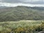 872 Bickerstaffe Road, Maungaturoto - Carousel 12