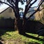 22D Hall Street, Newtown, Wellington - Carousel 12