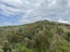 872 Bickerstaffe Road, Maungaturoto - Carousel 15