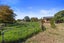 121 Travers Road, Te Kauwhata, Te Kauwhata - Carousel 22