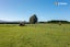 147 Dukes Road South, Mosgiel, Mosgiel - Carousel 43