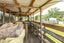 1036 State Highway 4, Parikino, Whanganui - Carousel 18