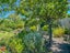 17 Bloomfield Street, Leithfield, Amberley - Carousel 31