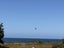 210 Jacks Bay Road, Hinahina, Owaka - Carousel 34
