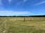 32C Aerodrome Road, Dannevirke - Carousel 1