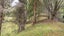 0 Bute Rd, Mangapakeha, Masterton - Carousel 22