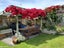 10 Wallnutt Avenue, Waihi Beach, Waihi Beach - Carousel 15