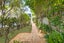 1 Lichfield Road, Parnell, Auckland - Carousel 13