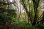 5D Woodcock Road, Tamahere, Hamilton - Carousel 37