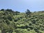 359 Ohiro Road, Brooklyn, Wellington - Carousel 17