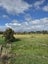 50 Painua Road, Hokio Beach, Levin - Carousel 9